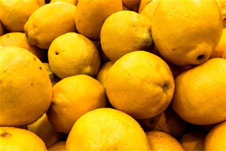 Group of Yellow Lemons photo