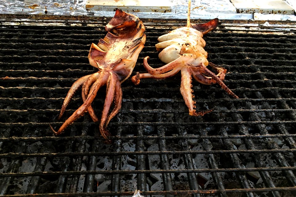 Grilled Octopus on Metal Grate