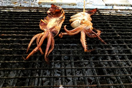 Grilled Octopus on Metal Grate