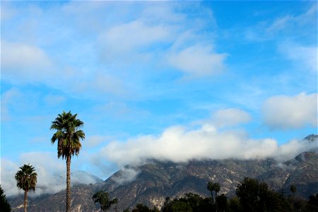 Palm Trees in Front of Mountains in Clouds photo