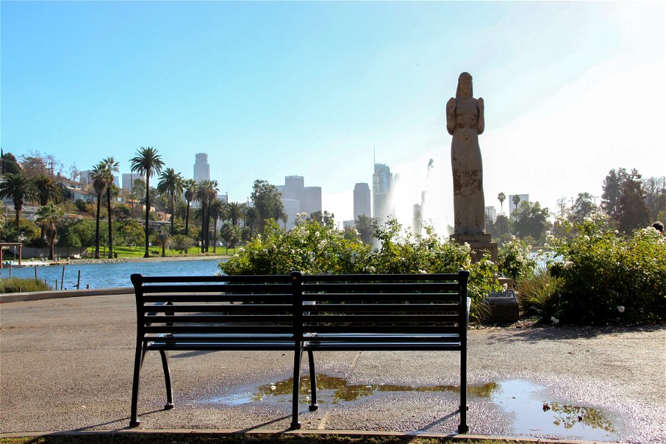 Bench in Front of Lake in City