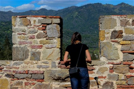 Woman Looking Out from Top of Stone Castle