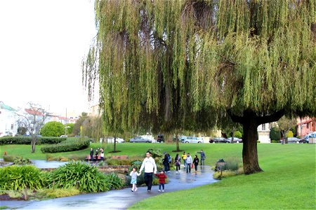 People Walk Through Park Under Willow Tree photo