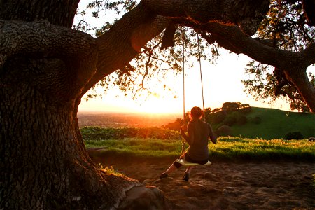 Girl on Swing Under Tree Watching Sunrise photo