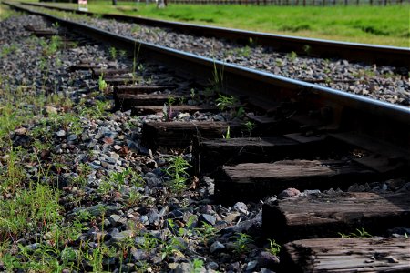 Close Up of Railroad Tracks Through Grass