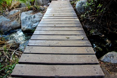 Wood Board Path Over Small Stream photo