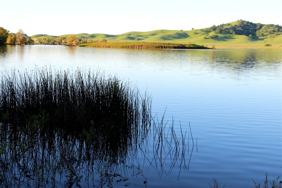 Reeds in Lake with Hills photo