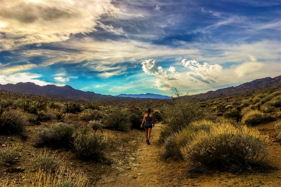 Woman Walking on Path Through Desert photo