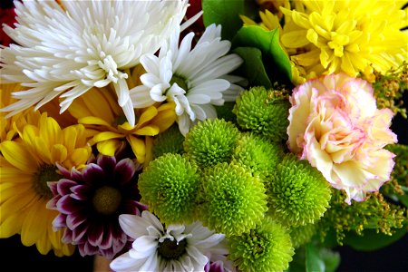 Bouquet of White, Yellow & Green Flowers photo