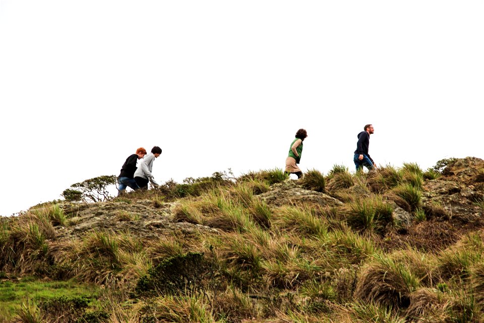 Group of People Walking Up Grassy Hill