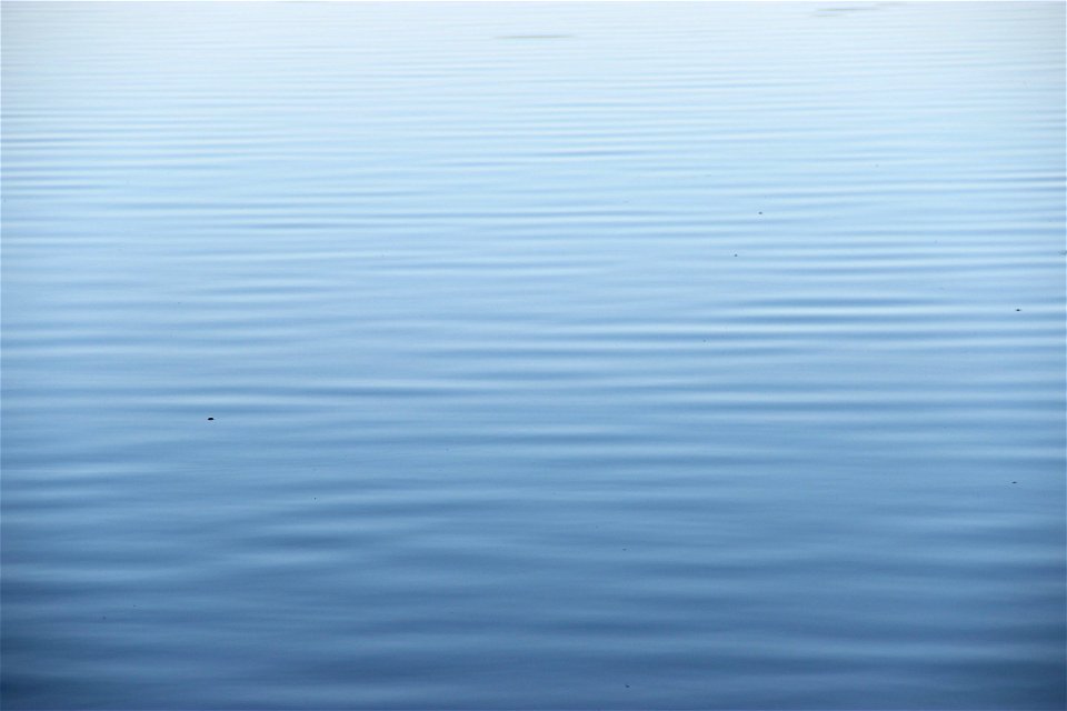 Light Ripples in Still Blue Water photo