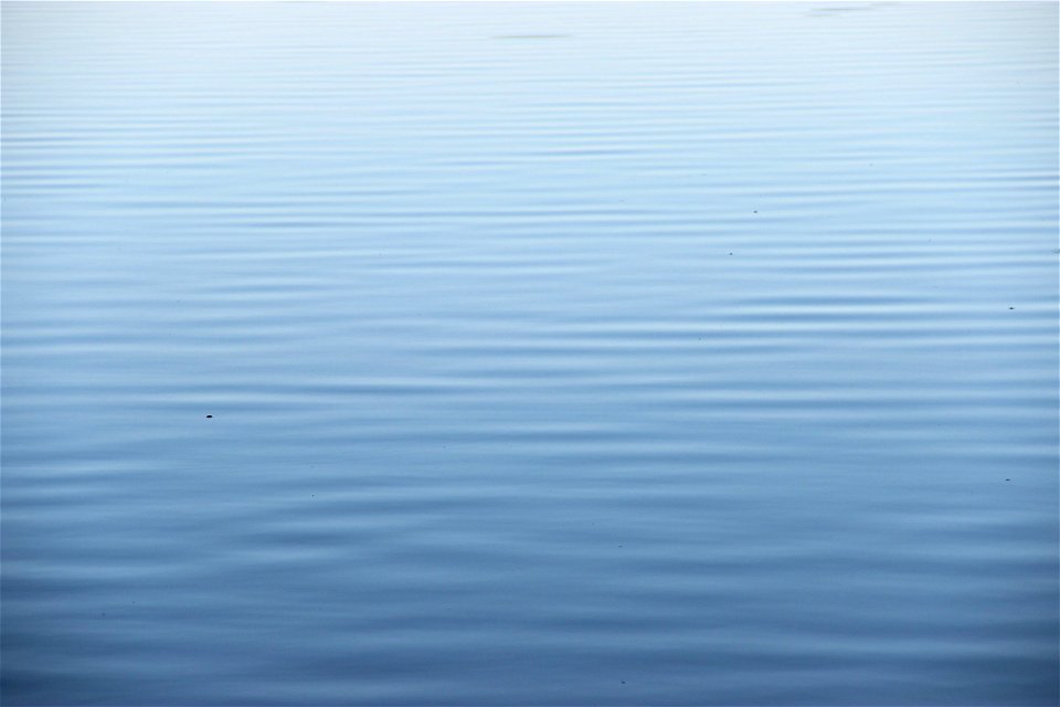 Light Ripples in Still Blue Water