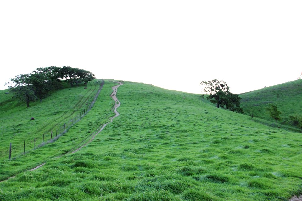 Small Path on Hill with Green Grass photo