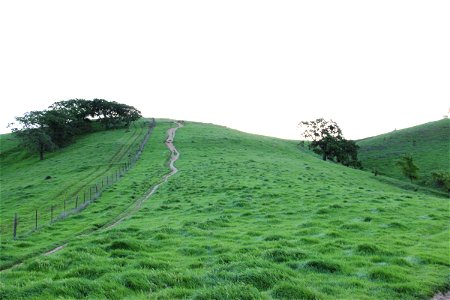 Small Path on Hill with Green Grass