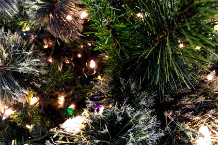 Close Up of Christmas Tree Branches & Lights photo