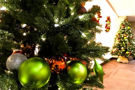 Ornaments & Lights on Christmas Trees photo