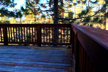 Wood Railing of Patio in the Forest photo