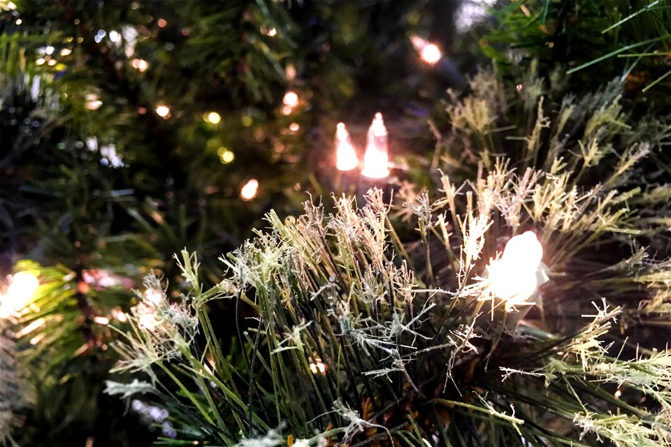 Close Up of White Lights in Christmas Tree
