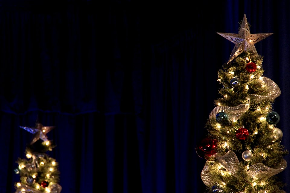 2 Christmas Trees with Stars