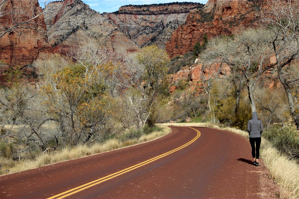 Woman Walking on the Side of the Road Though a Forest