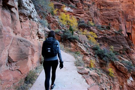 Woman Hiking Up Trail on Rocky Mountain photo