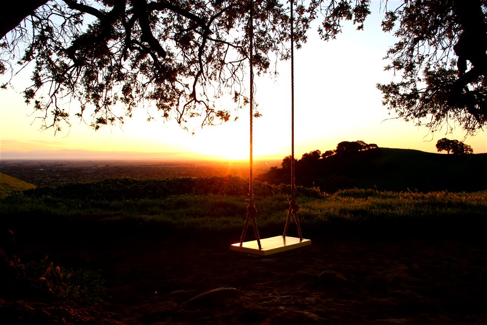 Swing on Hill at Sunrise