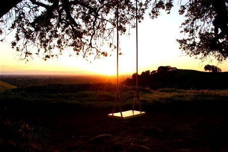 Swing on Hill at Sunrise photo