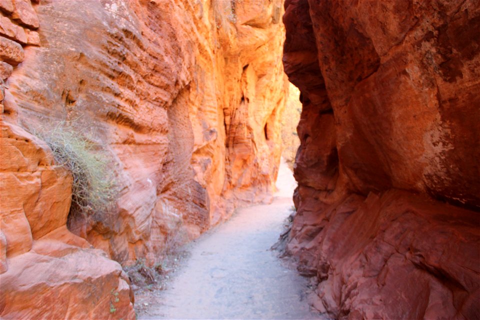 Path Through Rock Wall Canyon