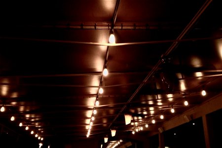 Lights on Industrial Ceiling photo