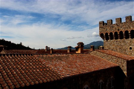 Rooftops of a Castle photo