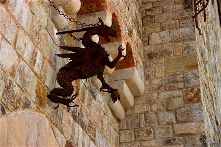 Rusted Metal Dragon Emblem