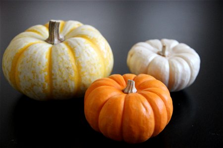 3 Pumpkins on Dark Table photo
