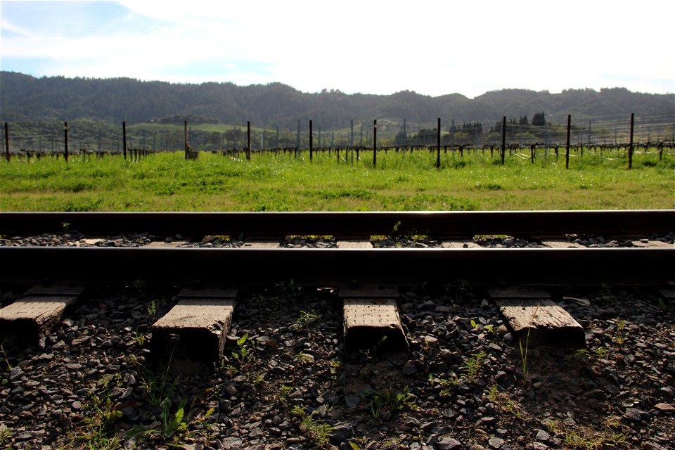 Train Tracks in Front of a Vineyard