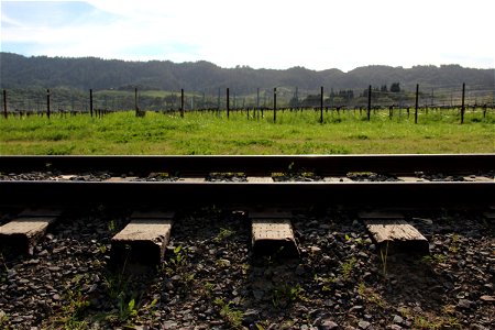 Train Tracks in Front of a Vineyard photo