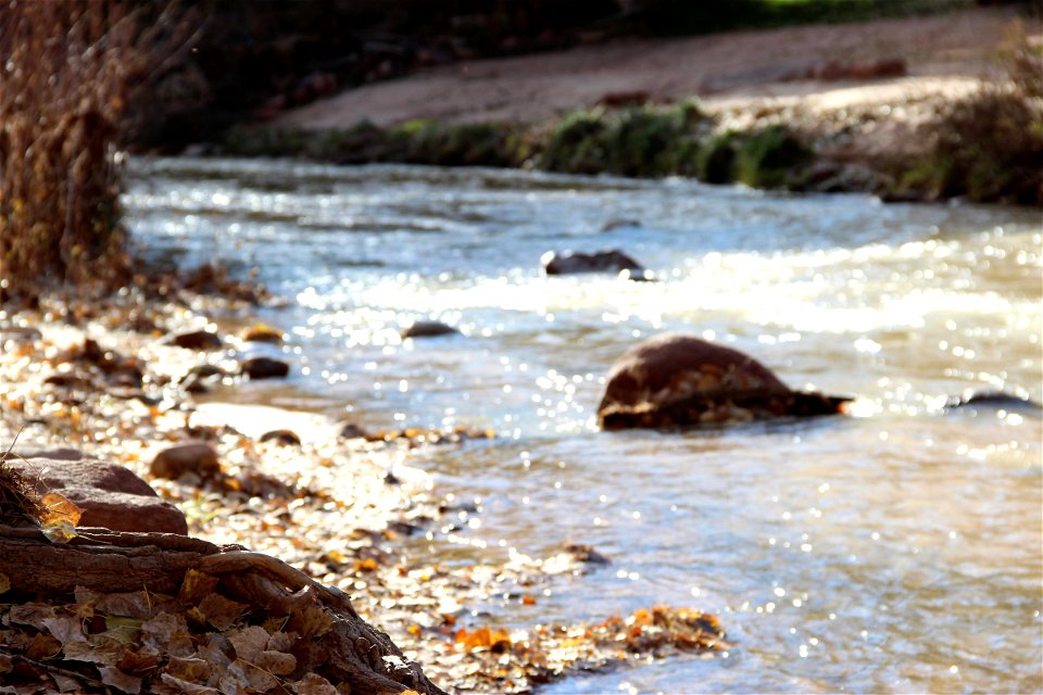 Running Creek Blurred in the Background photo