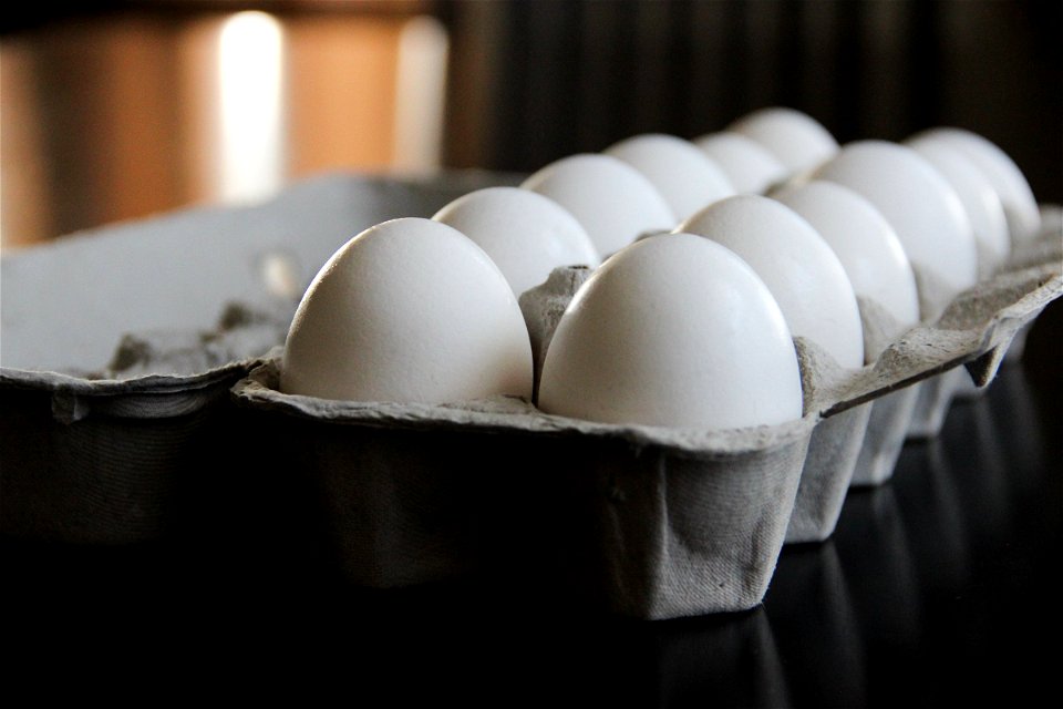 Close-Up of a Dozen Eggs in a Carton