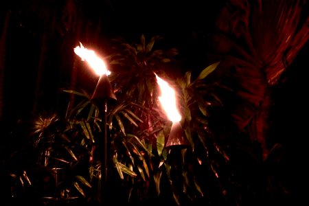 2 Tiki Torches in the Jungle Night photo