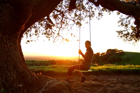 Woman on Swing Under Tree at Sunrise