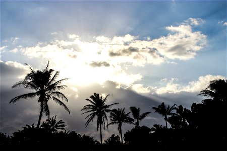 Sun Shining Through Clouds Above Palm Trees