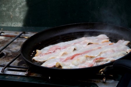 Bacon Cooking in Skillet photo