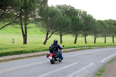 Motorcyclist on Road Lined with Trees photo
