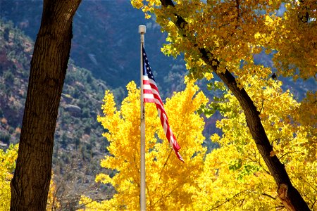 American Flag Against Yellow Trees photo