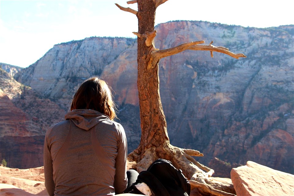 Woman Sitting Next to Tree Looking at Mountains photo