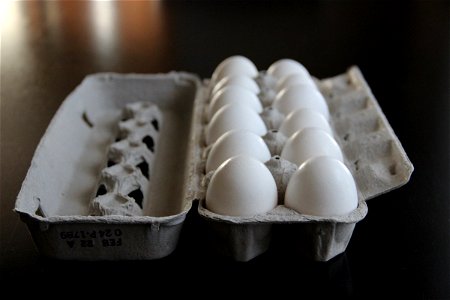A Dozen White Eggs in a Carton