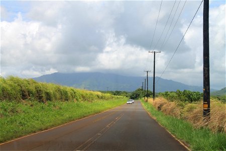 Cars on Road Through Tropical Fields photo
