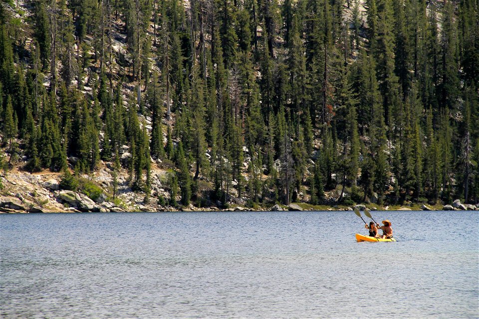 Couple Kayaking on a Lake by Forest photo