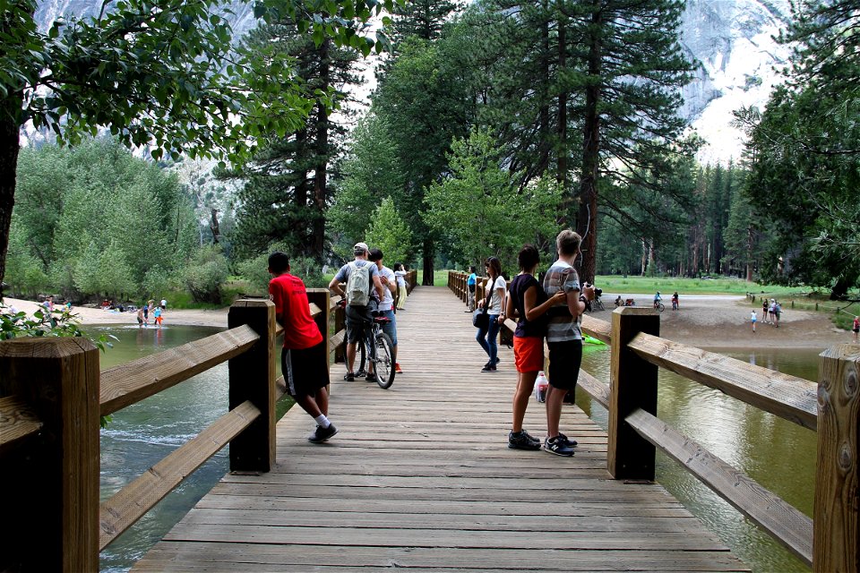 People Standing On Wooden Bridge in Forest