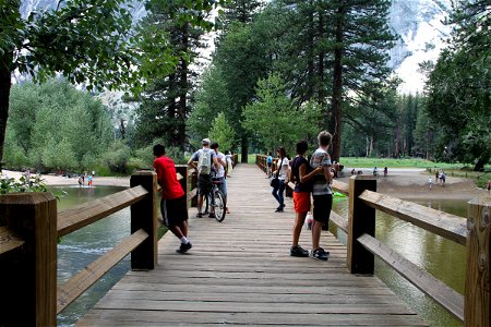 People Standing On Wooden Bridge in Forest photo