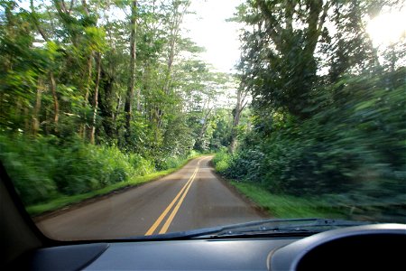 In Car Driving Down Road Through Jungle photo