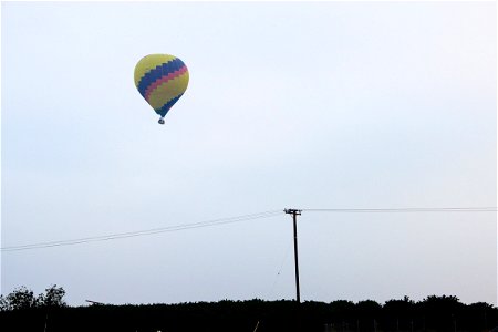 Hot Air Balloon Trees in Overcast Sky